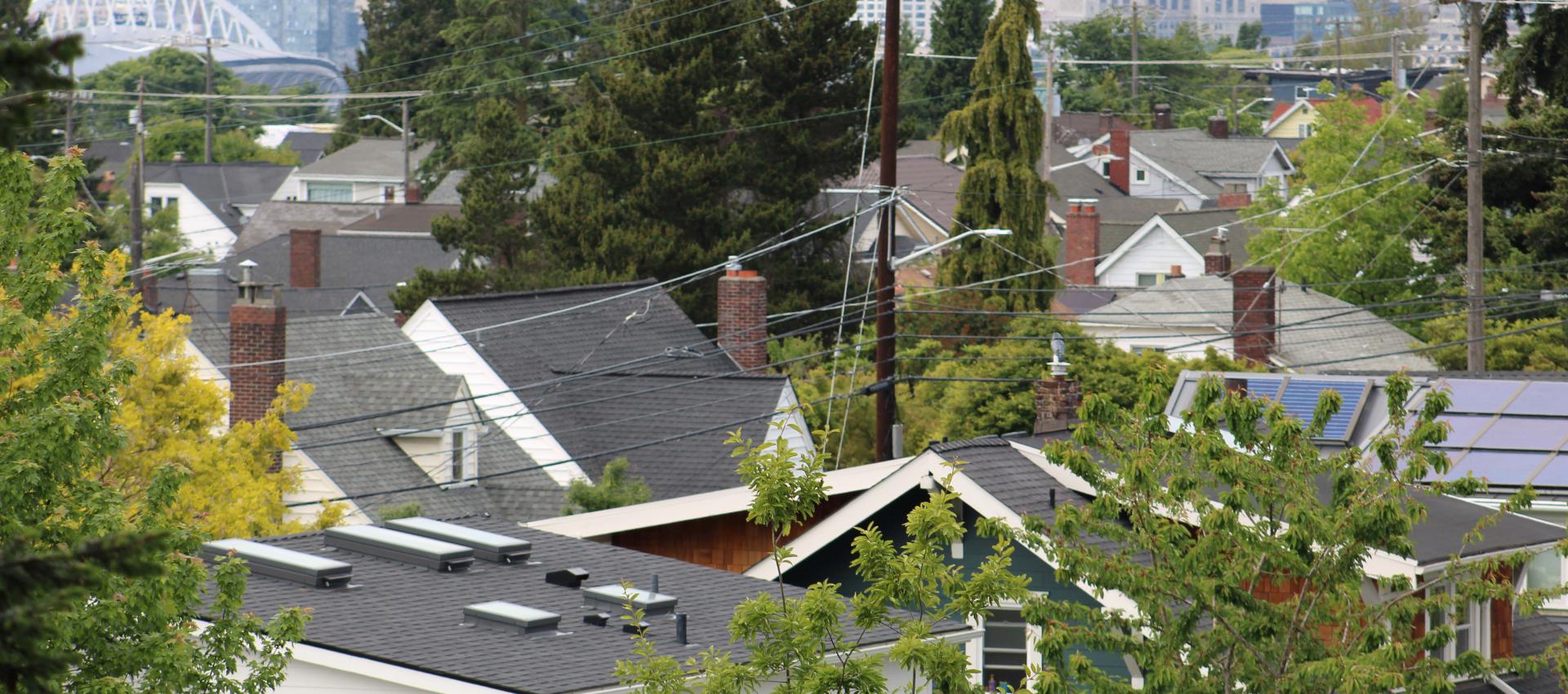 rooftops and trees